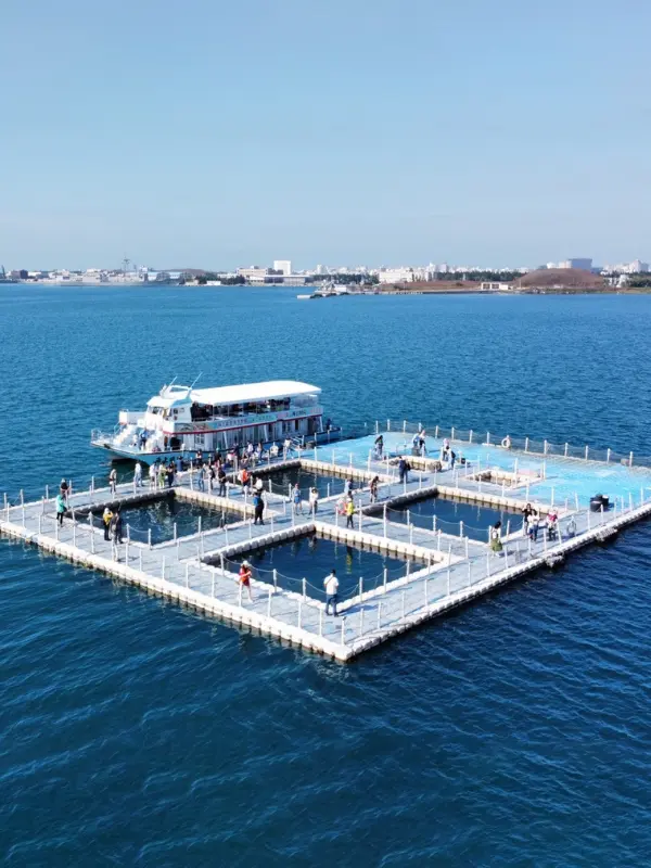 Морський ранчо